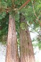 2018-09-21 14-37-02 Chateau de Fenelon BMa